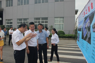 区四套班子领导莅临公司调研指导1.jpg